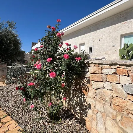 Ohana Bed and Breakfast