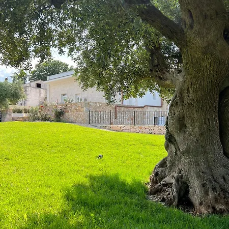 Bed and Breakfast Ohana 4*